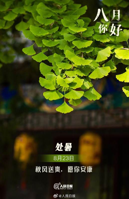 8月3日是什么节日