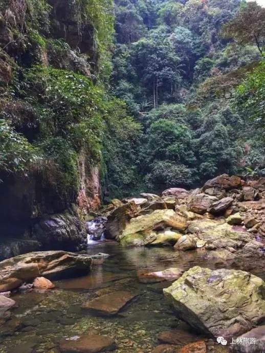 上林美景