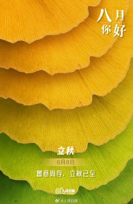 8月3日是什么节日