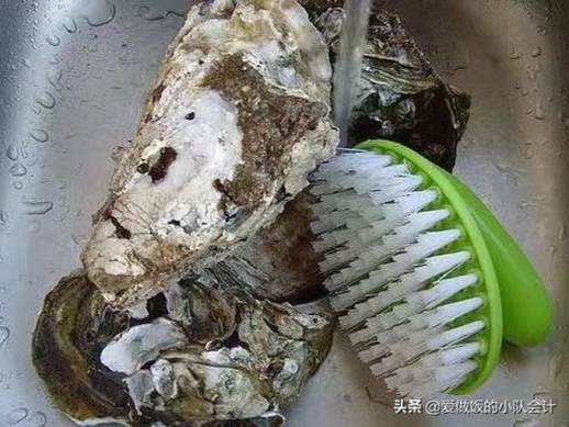 牡蛎怎么清洗