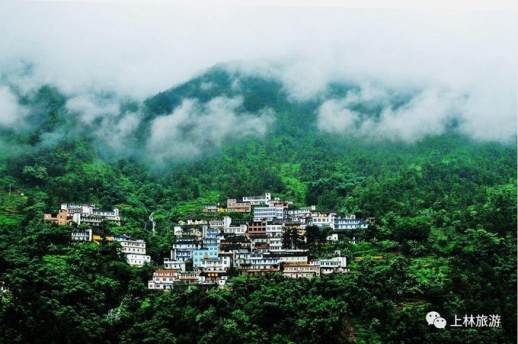 上林风景