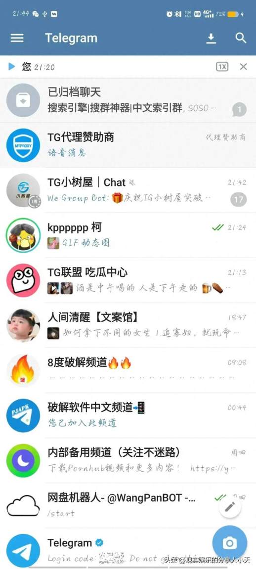 网络tg是什么意思