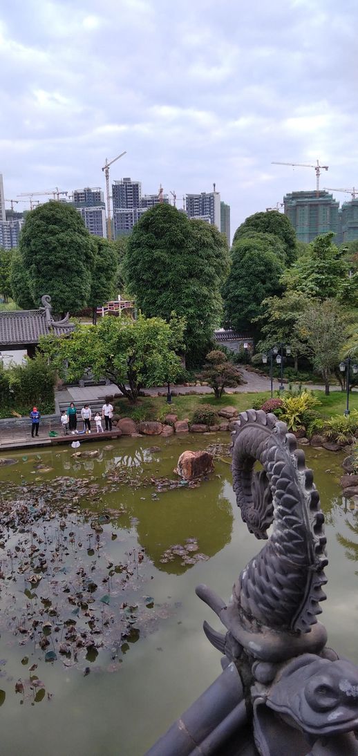 南宁市五象湖公园(南宁市五象湖属于哪个区)