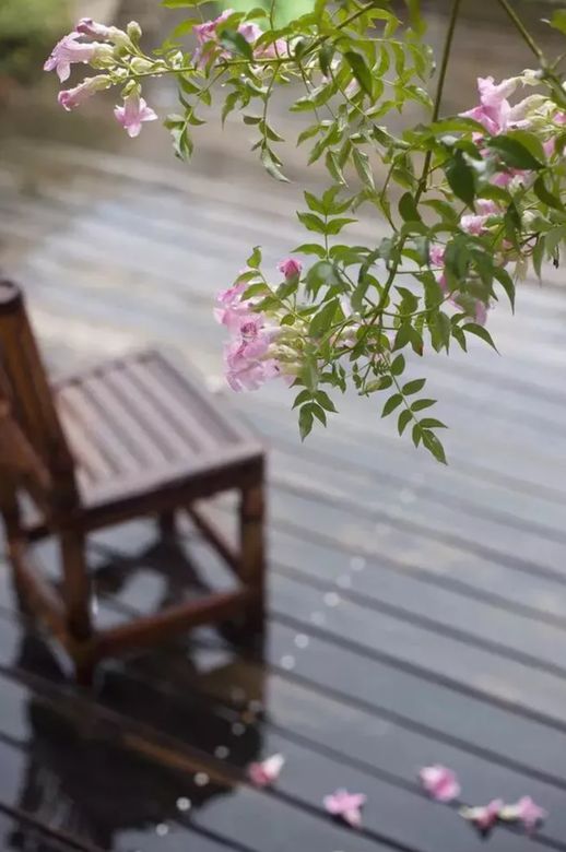 描写雨的诗句(春雨诗句大全)