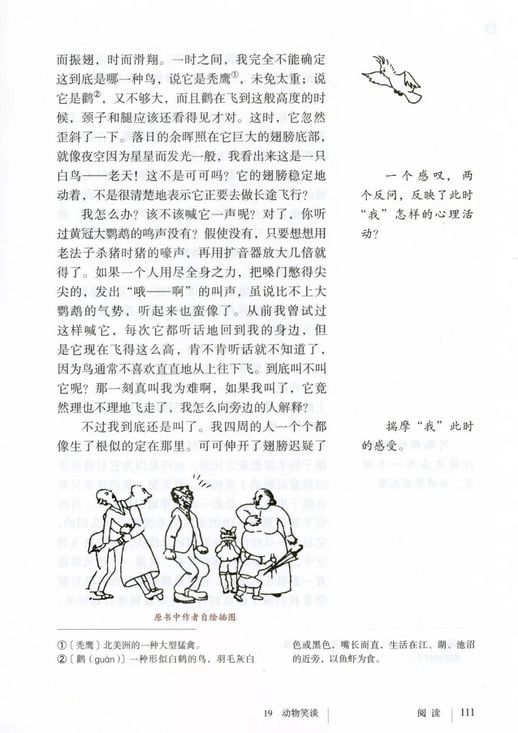 重温经典：七年级上册《动物笑谈》