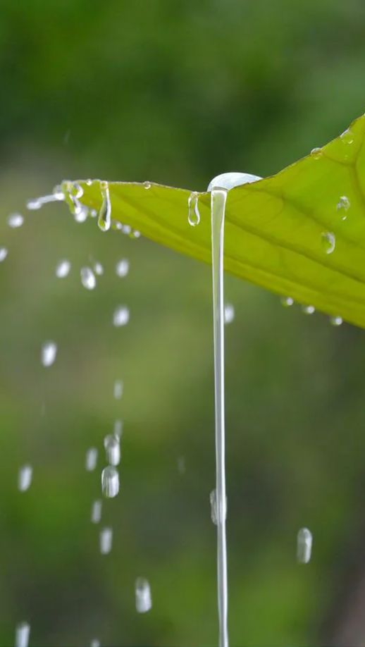 如丝小雨诗句